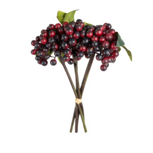 BERRY BUNDLE 11" RED