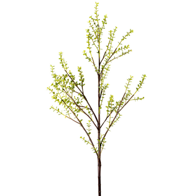 wp-image-0e573c_0a876ccb49a94d20bec601cdc48fe79fmv2