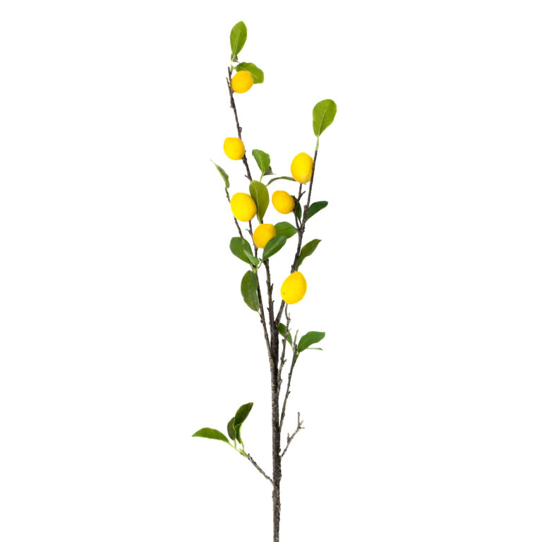 wp-image-0e573c_1413e24dcd094cbe8e98fab06f80879amv2