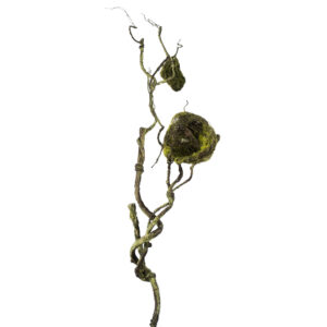TWIG VINE WITH 2 BIRD'S NESTS 36" GREEN AND BROWN