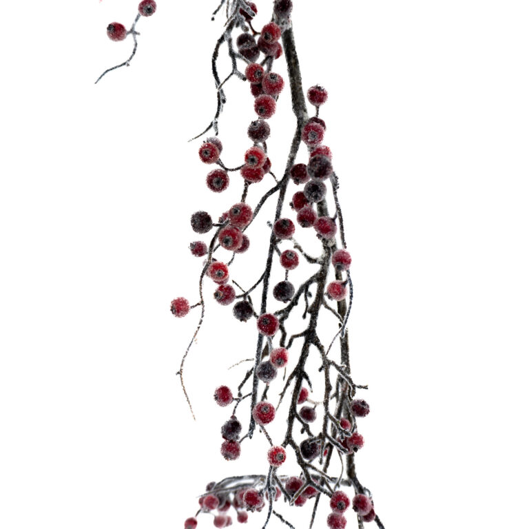 wp-image-0e573c_2ccefe8057d0450f8734cd1fbee82395mv2