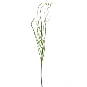 TWIG BRANCH WITH MOSS 52" BROWN