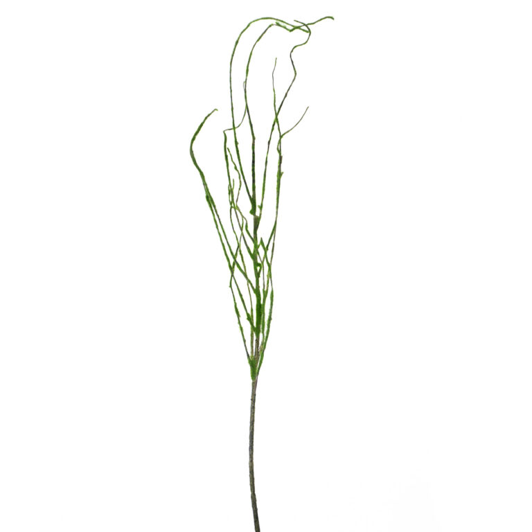 wp-image-0e573c_306383c6ac734058a85ff33cf37f1ffamv2