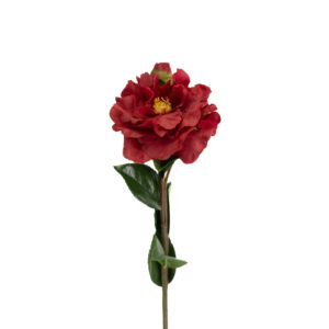 CAMELLIA STEM 28.5" RED