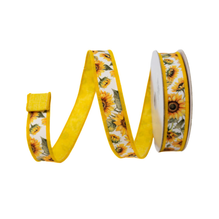 wp-image-0e573c_45860a1f66b14cddb66de487706732d0mv2