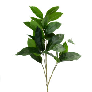 SALAL BRANCH 40" GREEN