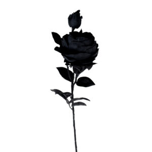ROSE WITH LEAF STEM 21" BLACK