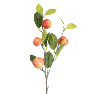 APPLE BRANCH 31" RED
