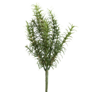 ROSEMARY BUSH 12" GREEN