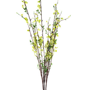 STEPHANOTIS PLANT 35" ( 2 COLORS)