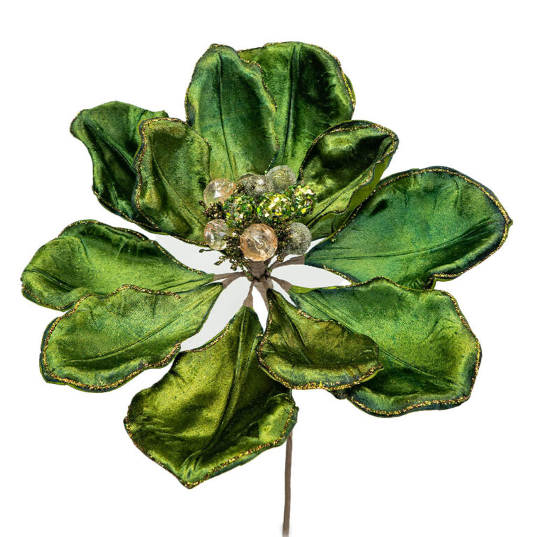 wp-image-0e573c_5e3c08cd85d4453db26e65515fe3890bmv2