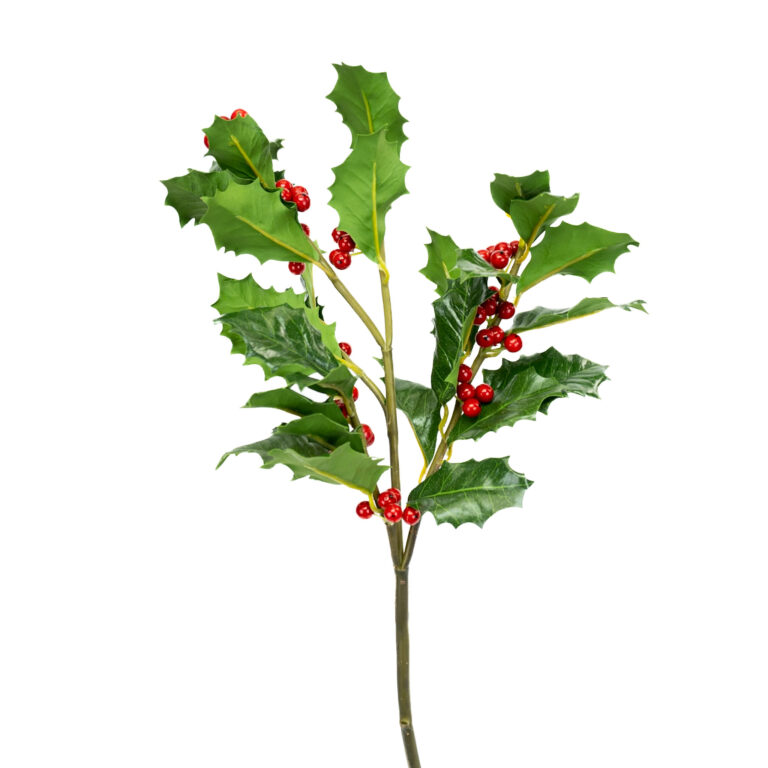 wp-image-0e573c_64e601e36d6a47c4ab8bff0e9d5ba156mv2