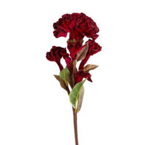 BALL CELOSIA 22" RED
