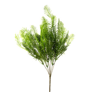 ASPARAGUS BUSH 17" GREEN
