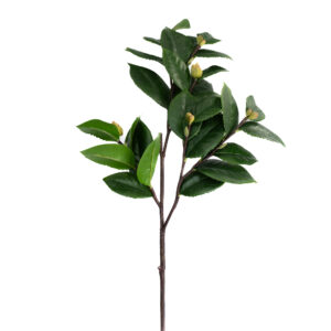 CAMILIA LEAF BRANCH WITH BUDS 27" GREEN