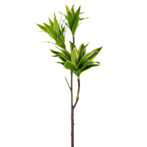 SONG OF JAMAICA 32" GREEN