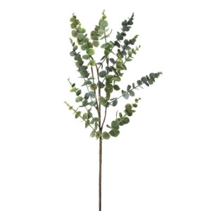 EUCALYPTUS STEM 37" GREEN
