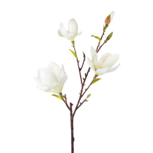 SAUCER MAGNOLIA SPRAY 34" ( 2 COLORS )