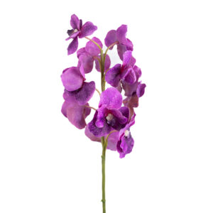 VANDA ORCHID 32" FUCHSIA PURPLE