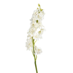 DELPHINIUM NATURAL TOUCH 38" ( 2 COLORS )