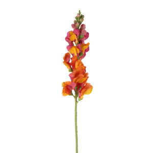 SNAPDRAGON STEM 31" ( 4 COLORS )