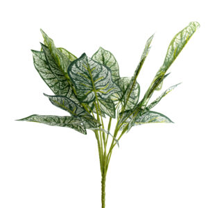 CALLADIUM BUSH 18" GREEN AND WHITE UV