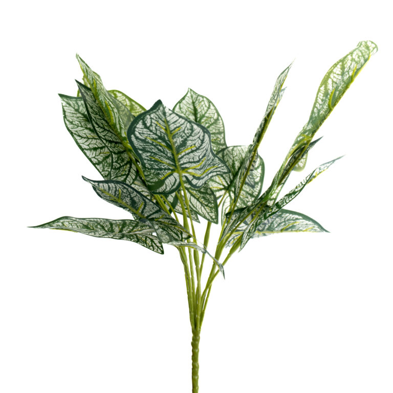 wp-image-0e573c_c393499bf8a14bc096f6ac6c7ad56c27mv2