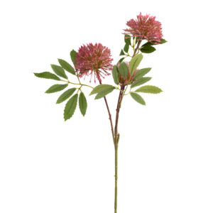 BRANCH POWDER PUFF 23" PINK