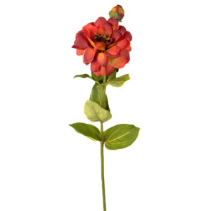 ZINNIA 23.5" ORANGE AND RED