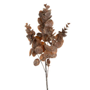 EUCALYPTUS SPRAY 24.5" BROWN