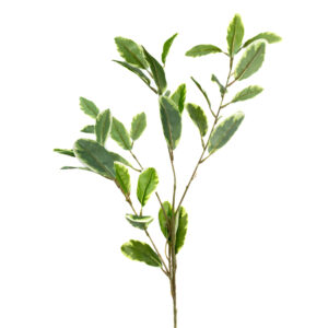 BRANCH LEAVES 31" GREEN