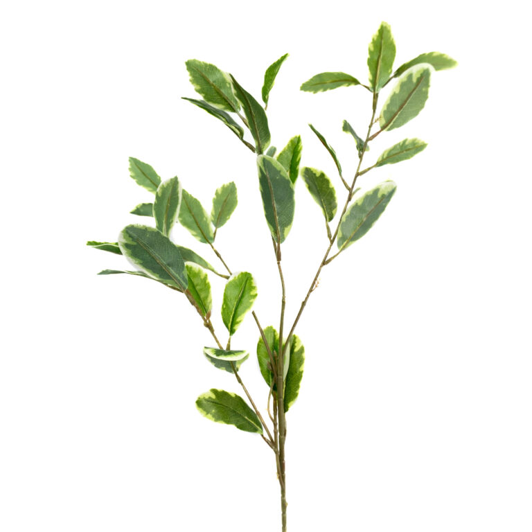 wp-image-0e573c_e475dcf07c9c411db9b202a0da2869b5mv2