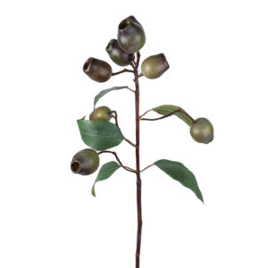 EUCALYPTUS POD STEM 26" ( 2 COLORS )
