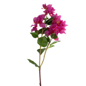 BOUGAINVILLEA 34.5" FUSCHIA