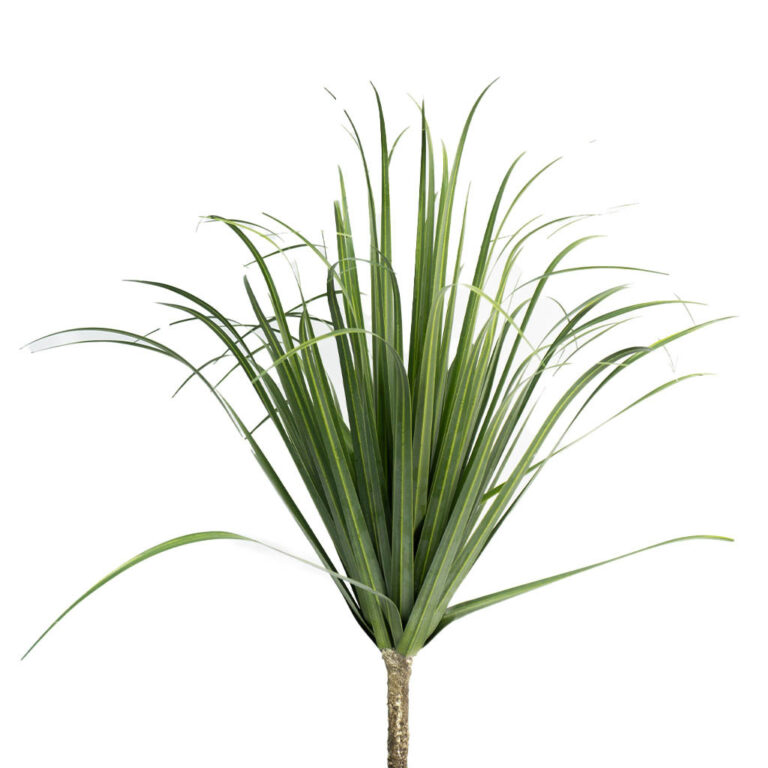 wp-image-0e573c_fd504c650fd040f0a4a69cd1883577e8mv2