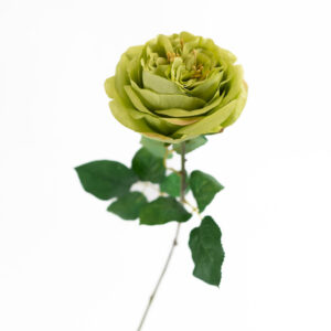 ENGLISH GARDEN ROSE 39" GREEN